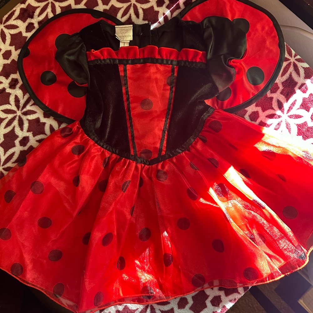 #52 Koala Kids Red and Black Ladybug Costume
